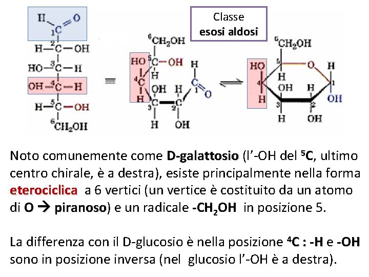 Classe esosi aldosi Noto comunemente come D-galattosio (l’-OH del 5 C, ultimo centro chirale,