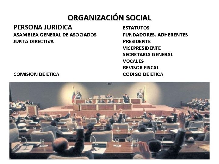 ORGANIZACIÓN SOCIAL PERSONA JURIDICA ASAMBLEA GENERAL DE ASOCIADOS JUNTA DIRECTIVA COMISION DE ETICA ESTATUTOS