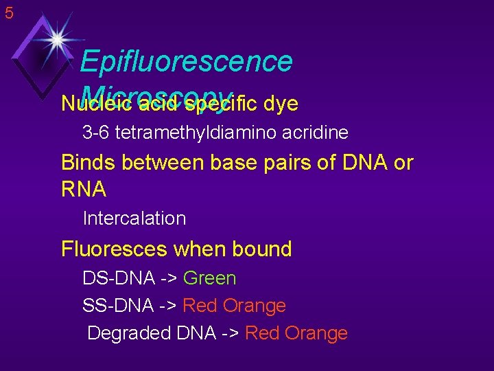 5 Epifluorescence Microscopy Nucleic acid specific dye 3 -6 tetramethyldiamino acridine Binds between base