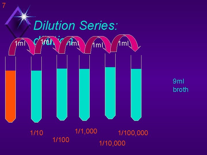 7 1 ml Dilution Series: 1 ml dilution 1 ml 1 ml 9 ml