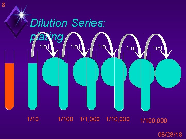 8 Dilution Series: plating 1 ml 1/100 1 ml 1/1, 000 1/10, 000 1