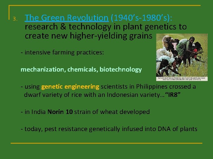 3. The Green Revolution (1940’s-1980’s): research & technology in plant genetics to create new