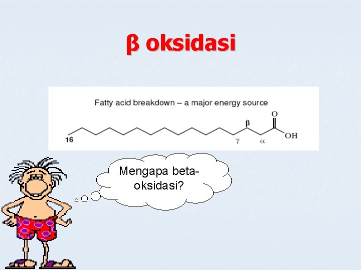 β oksidasi Mengapa betaoksidasi? 