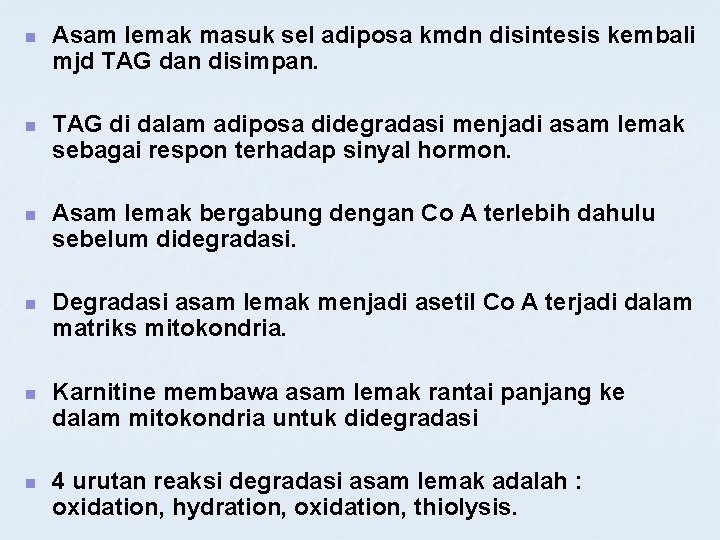 n Asam lemak masuk sel adiposa kmdn disintesis kembali mjd TAG dan disimpan. n