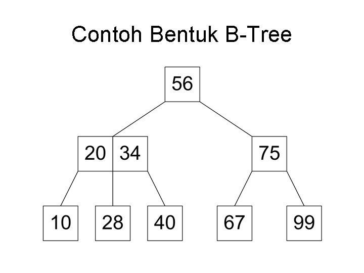 Contoh Bentuk B-Tree 