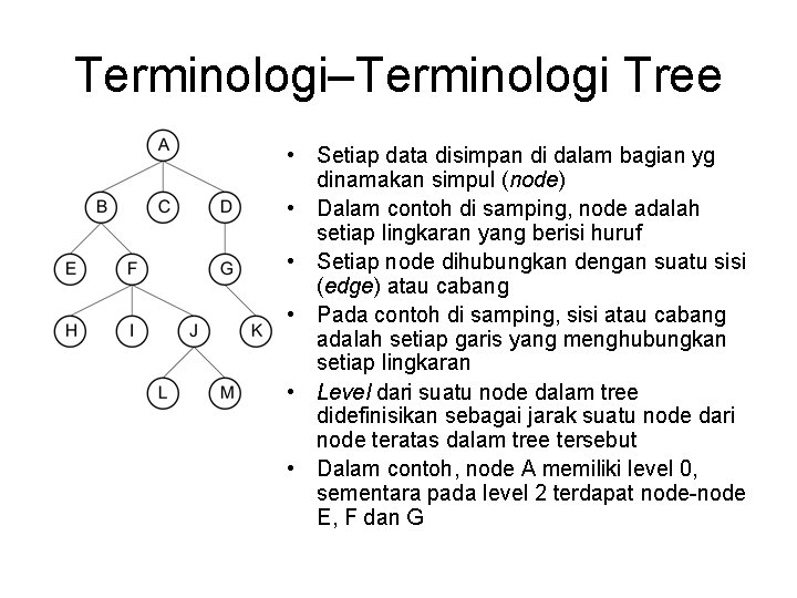 Terminologi–Terminologi Tree • Setiap data disimpan di dalam bagian yg dinamakan simpul (node) •