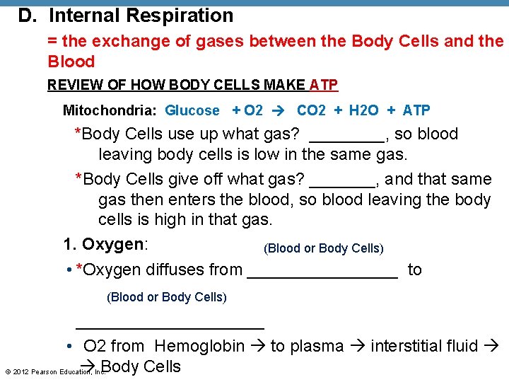 D. Internal Respiration = the exchange of gases between the Body Cells and the