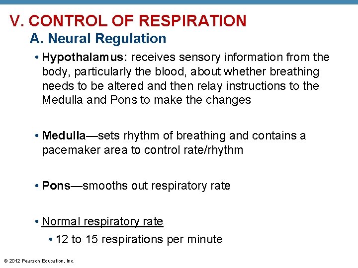 V. CONTROL OF RESPIRATION A. Neural Regulation • Hypothalamus: receives sensory information from the