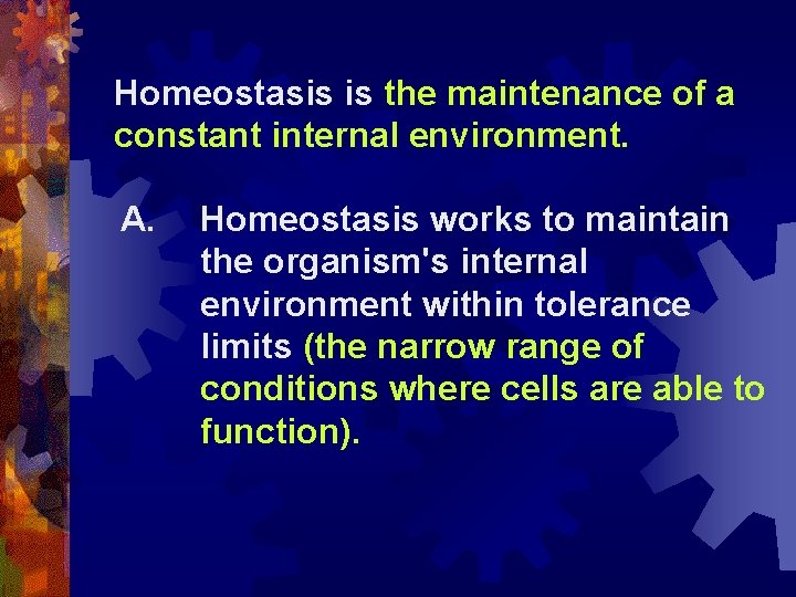 Homeostasis is the maintenance of a constant internal environment. A. Homeostasis works to maintain