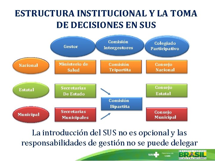 ESTRUCTURA INSTITUCIONAL Y LA TOMA DE DECISIONES EN SUS Gestor Nacional Ministerio Ministério de