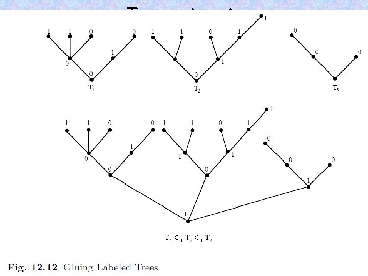 Tree automata [Adapted from R. Downey, M. Fellows] 