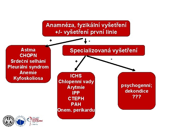 Anamnéza, fyzikální vyšetření +/- vyšetření první linie + Astma CHOPN Srdeční selhání Pleurální syndrom