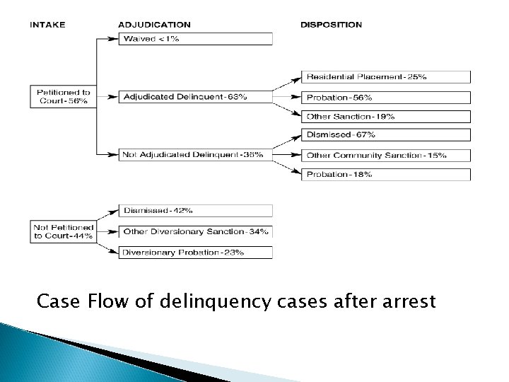 Case Flow of delinquency cases after arrest 