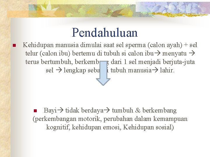 Pendahuluan n Kehidupan manusia dimulai saat sel sperma (calon ayah) + sel telur (calon