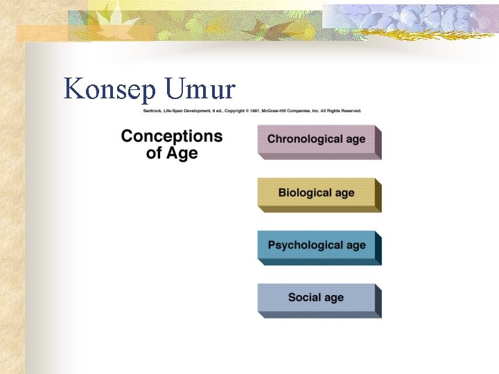 Konsep Umur 