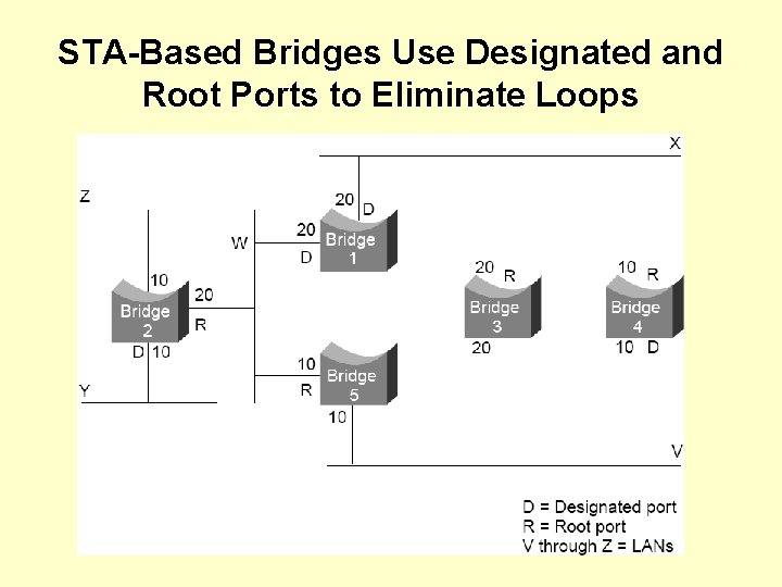 STA-Based Bridges Use Designated and Root Ports to Eliminate Loops 