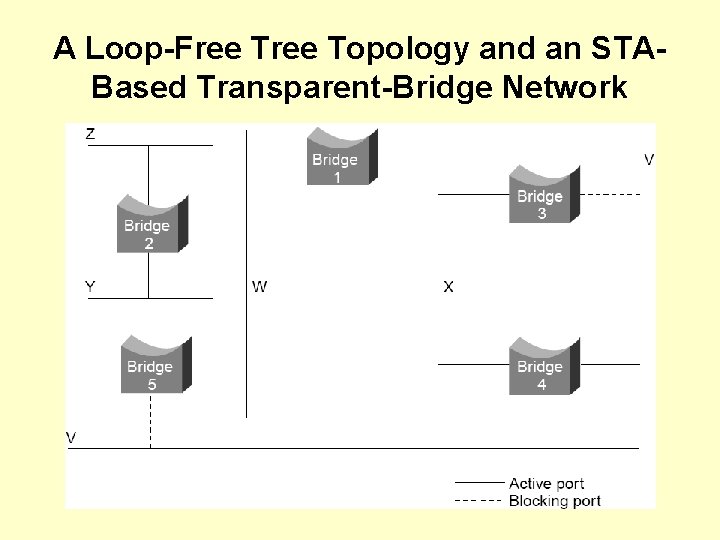 A Loop-Free Topology and an STABased Transparent-Bridge Network 