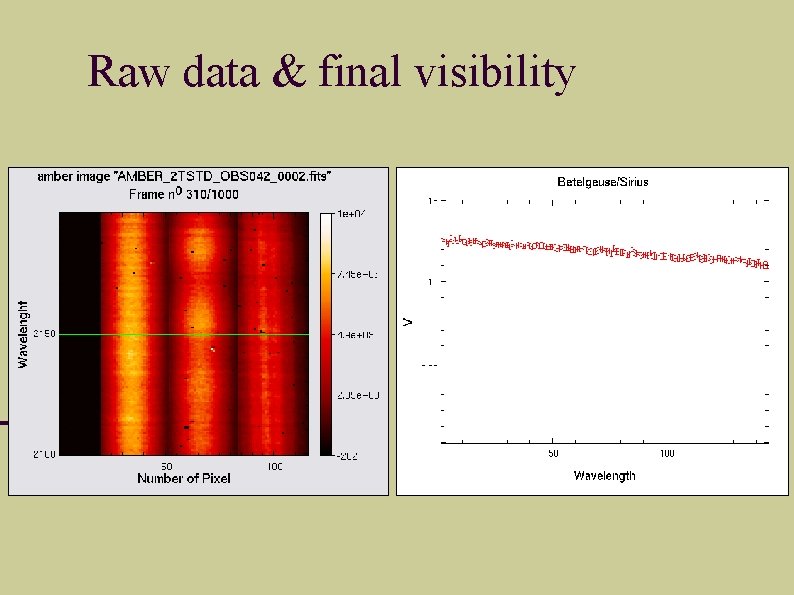 Raw data & final visibility 