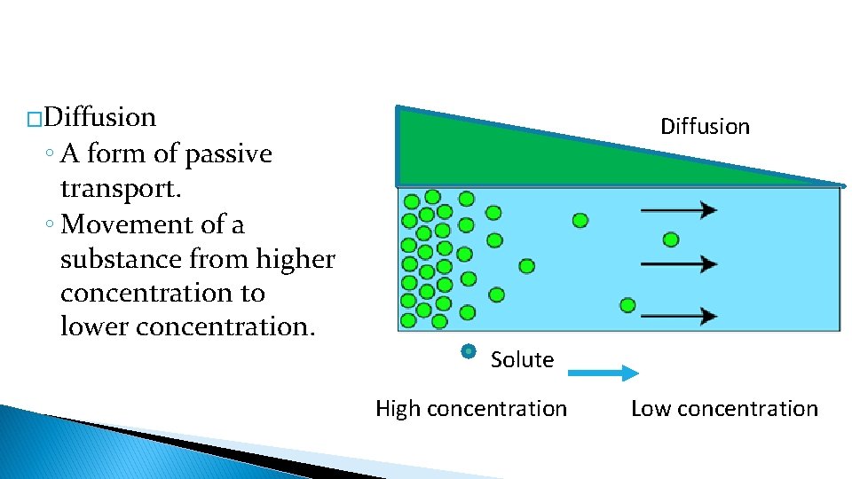 �Diffusion ◦ A form of passive transport. ◦ Movement of a substance from higher