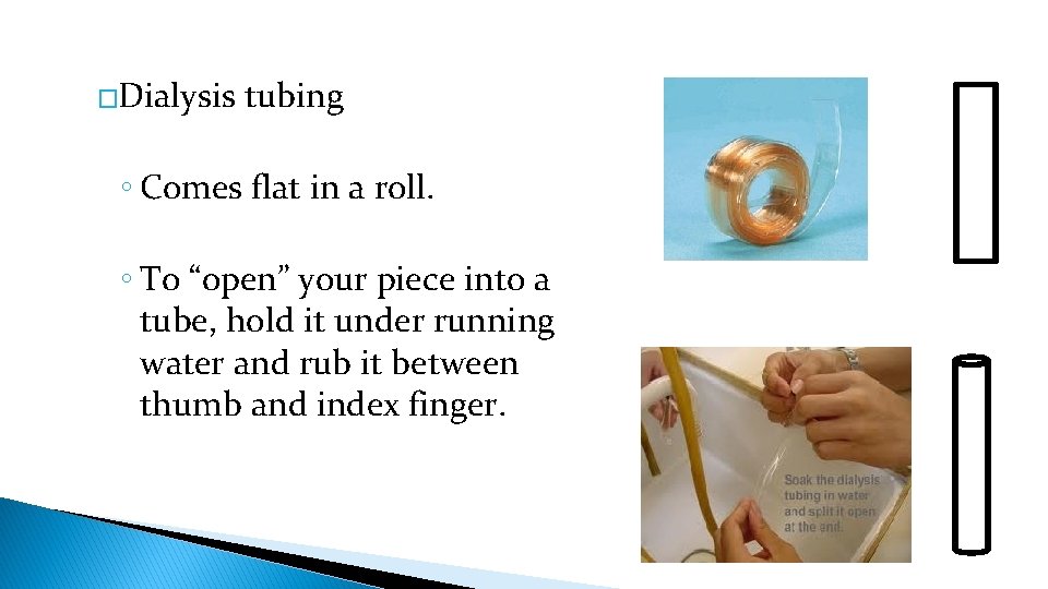 �Dialysis tubing ◦ Comes flat in a roll. ◦ To “open” your piece into