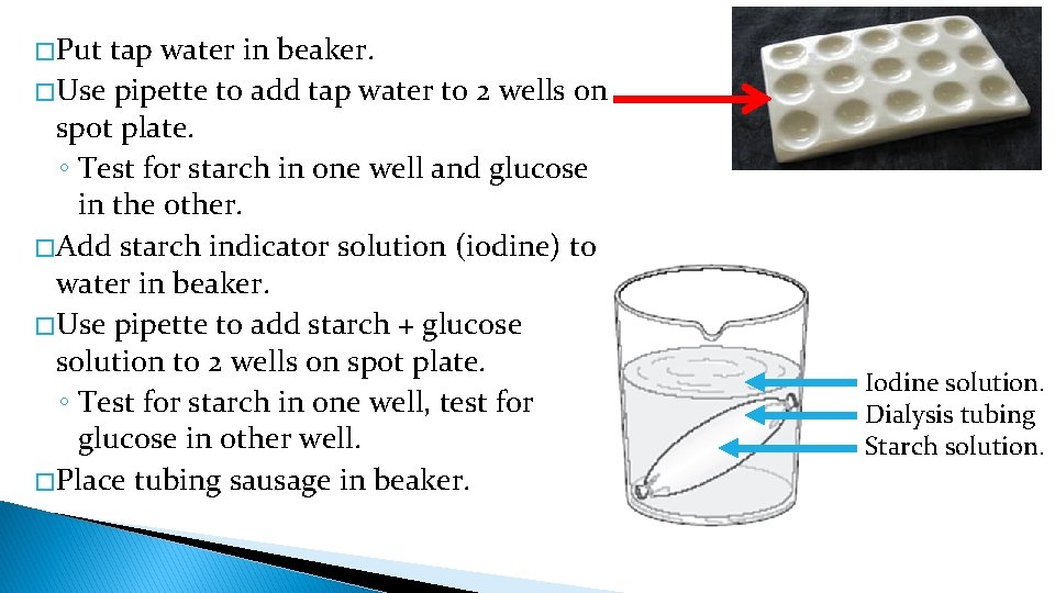 � Put tap water in beaker. � Use pipette to add tap water to