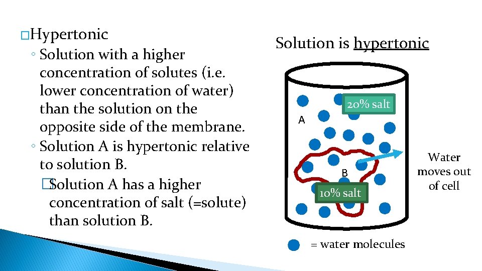 �Hypertonic ◦ Solution with a higher concentration of solutes (i. e. lower concentration of