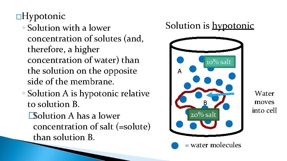�Hypotonic ◦ Solution with a lower concentration of solutes (and, therefore, a higher concentration