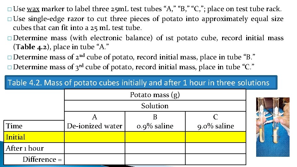 � Use wax marker to label three 25 m. L test tubes “A, ”