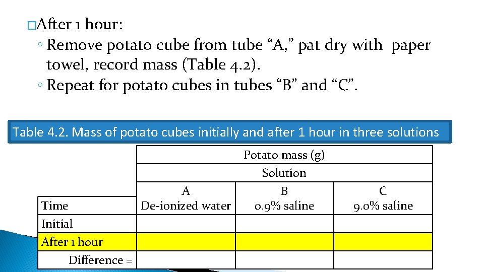 �After 1 hour: ◦ Remove potato cube from tube “A, ” pat dry with