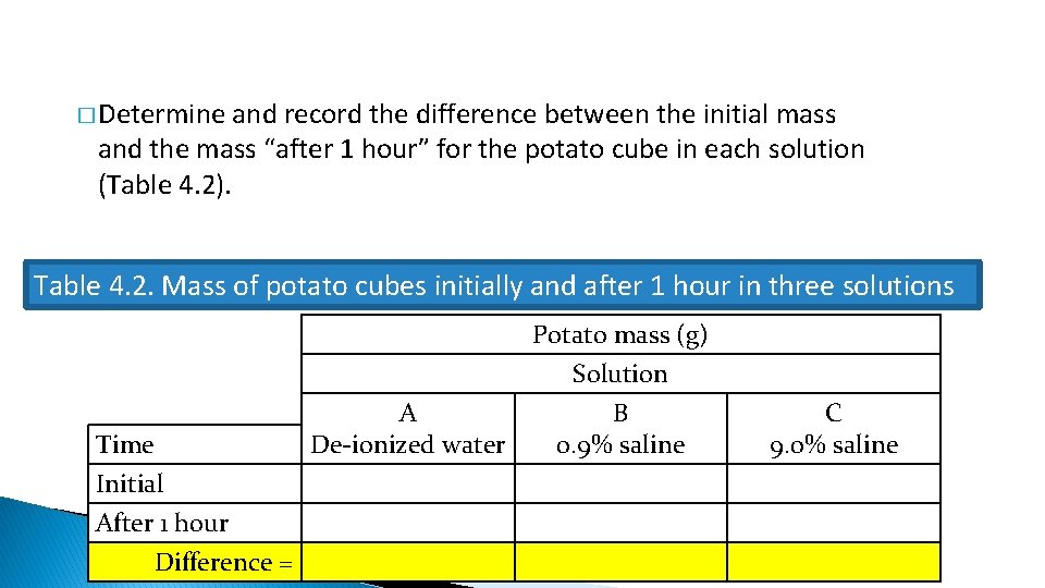 � Determine and record the difference between the initial mass and the mass “after