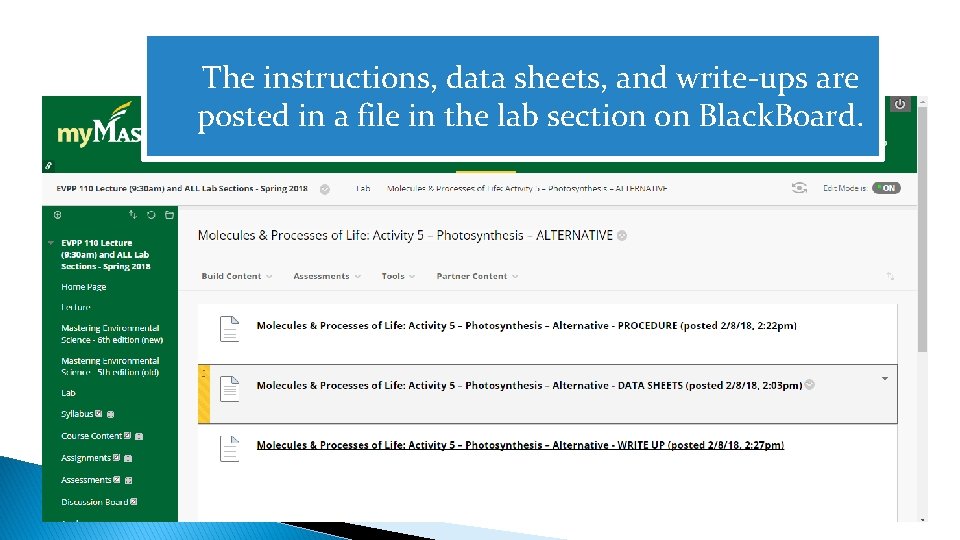The instructions, data sheets, and write-ups are posted in a file in the lab