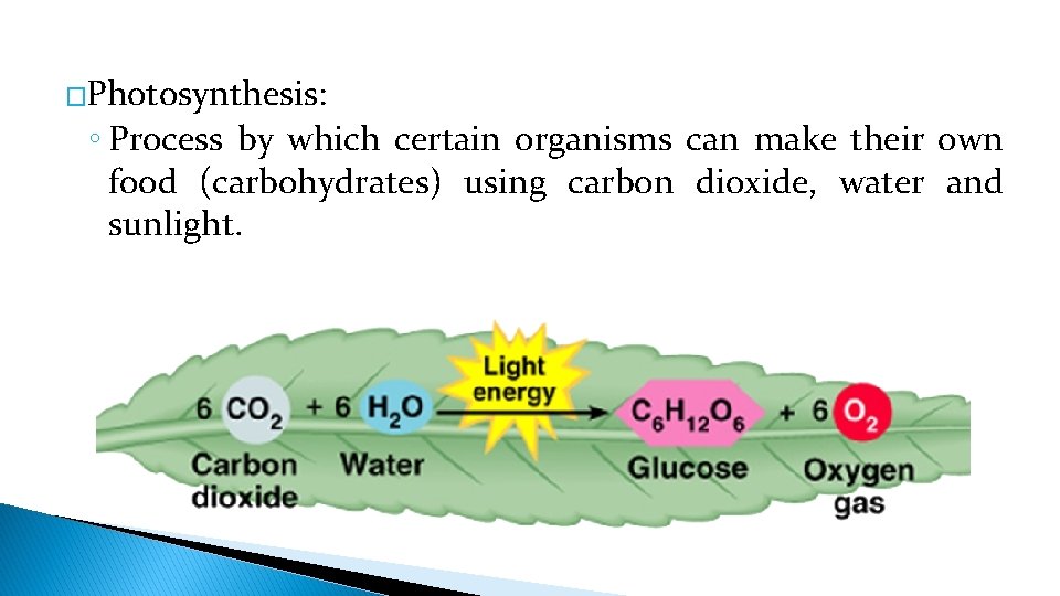 �Photosynthesis: ◦ Process by which certain organisms can make their own food (carbohydrates) using