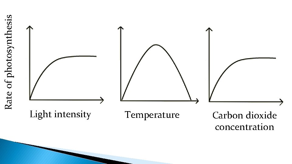 Rate of photosynthesis Light intensity Temperature Carbon dioxide concentration 