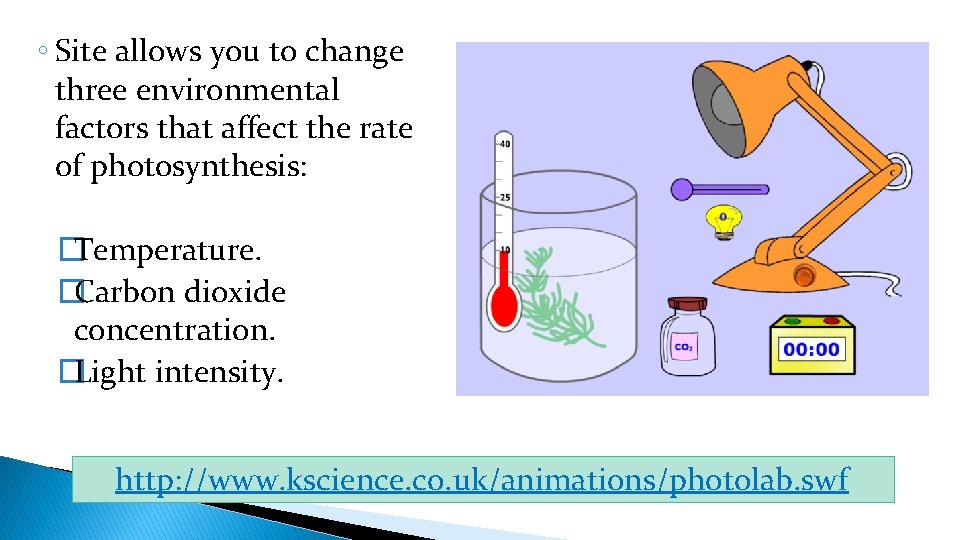 ◦ Site allows you to change three environmental factors that affect the rate of