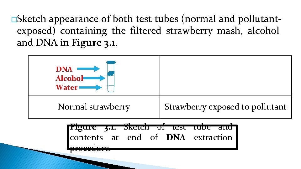 �Sketch appearance of both test tubes (normal and pollutantexposed) containing the filtered strawberry mash,