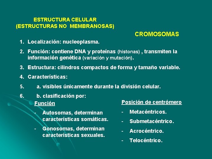 ESTRUCTURA CELULAR (ESTRUCTURAS NO MEMBRANOSAS) CROMOSOMAS 1. Localización: nucleoplasma. 2. Función: contiene DNA y