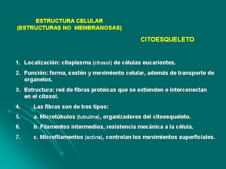 ESTRUCTURA CELULAR (ESTRUCTURAS NO MEMBRANOSAS) CITOESQUELETO 1. Localización: citoplasma (citosol) de células eucariontes. 2.