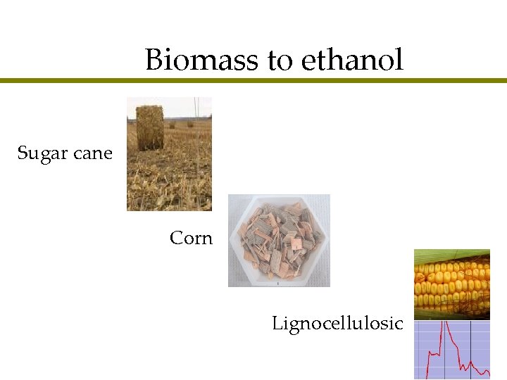 Biomass to ethanol Sugar cane Corn Lignocellulosic 