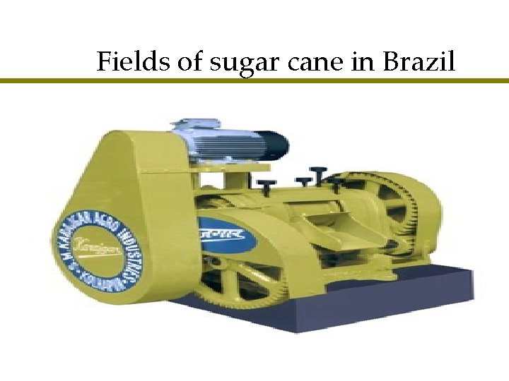 Fields of sugar cane in Brazil 