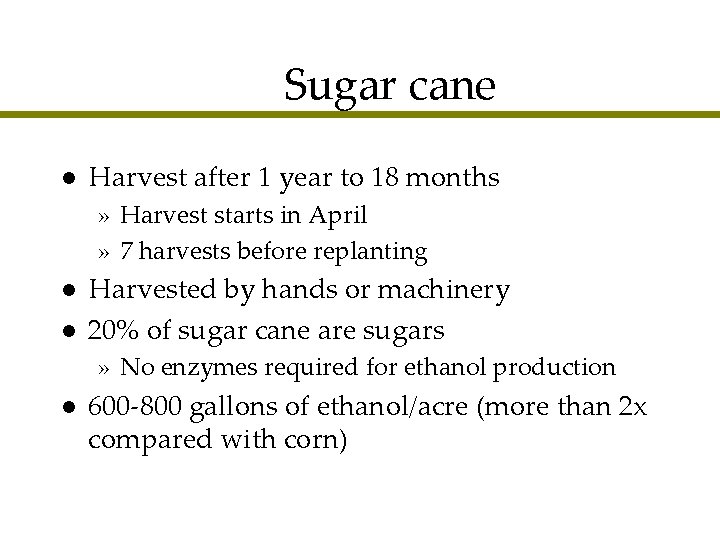 Sugar cane l Harvest after 1 year to 18 months » Harvest starts in