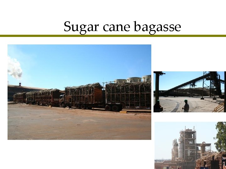 Sugar cane bagasse 