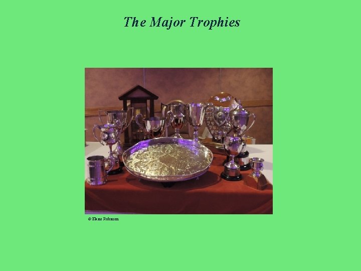 The Major Trophies © Elaine Robinson 