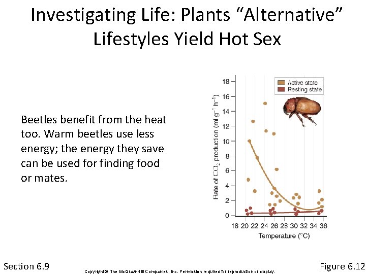 Investigating Life: Plants “Alternative” Lifestyles Yield Hot Sex Beetles benefit from the heat too.