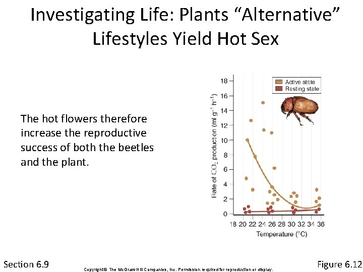 Investigating Life: Plants “Alternative” Lifestyles Yield Hot Sex The hot flowers therefore increase the