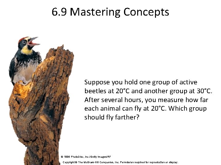 6. 9 Mastering Concepts Suppose you hold one group of active beetles at 20°C