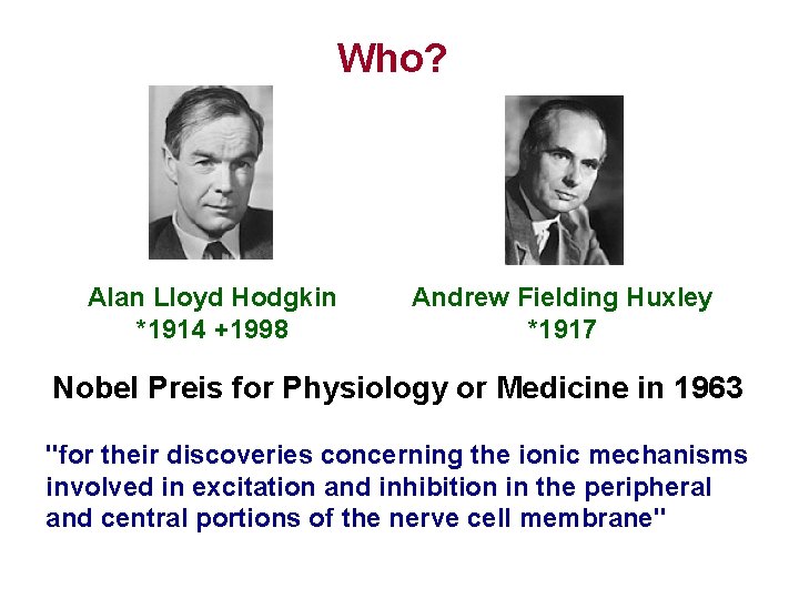 Who? Alan Lloyd Hodgkin *1914 +1998 Andrew Fielding Huxley *1917 Nobel Preis for Physiology