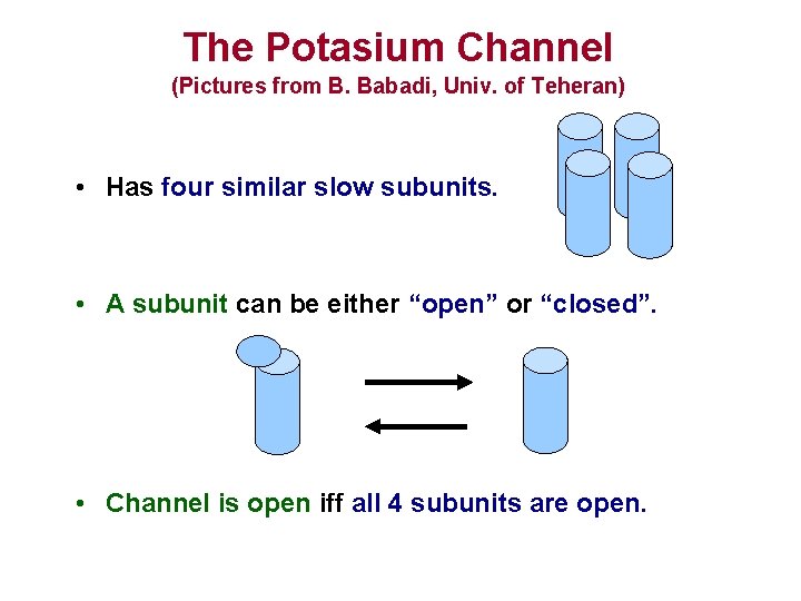 The Potasium Channel (Pictures from B. Babadi, Univ. of Teheran) • Has four similar