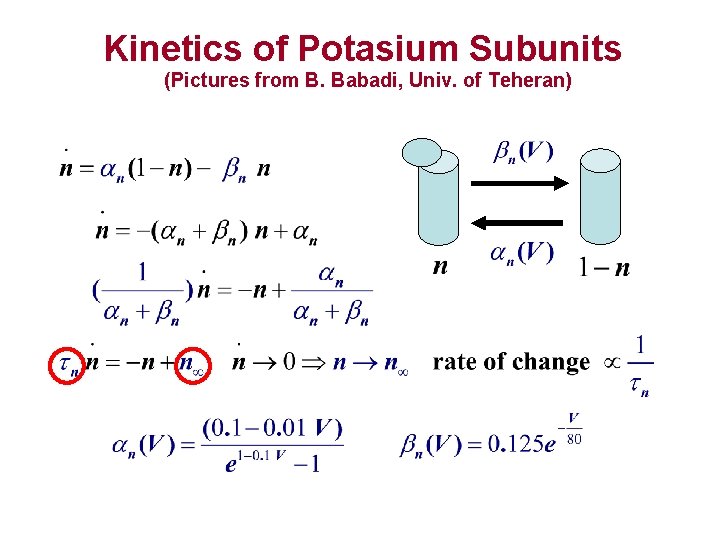 Kinetics of Potasium Subunits (Pictures from B. Babadi, Univ. of Teheran) 