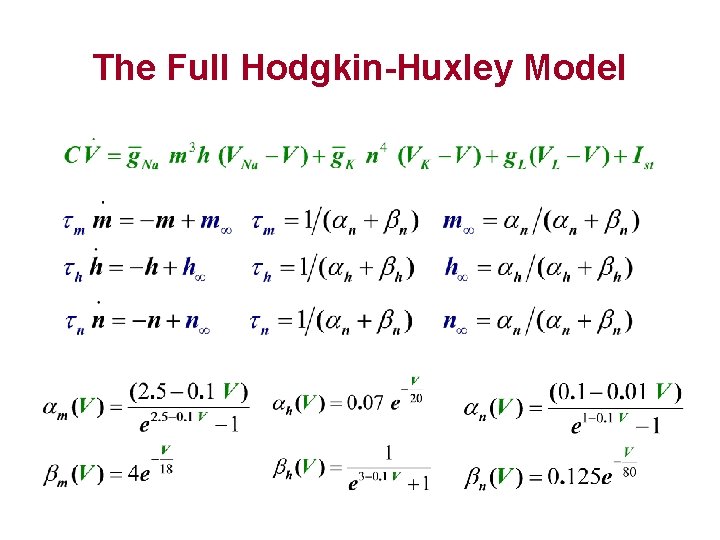 The Full Hodgkin-Huxley Model 