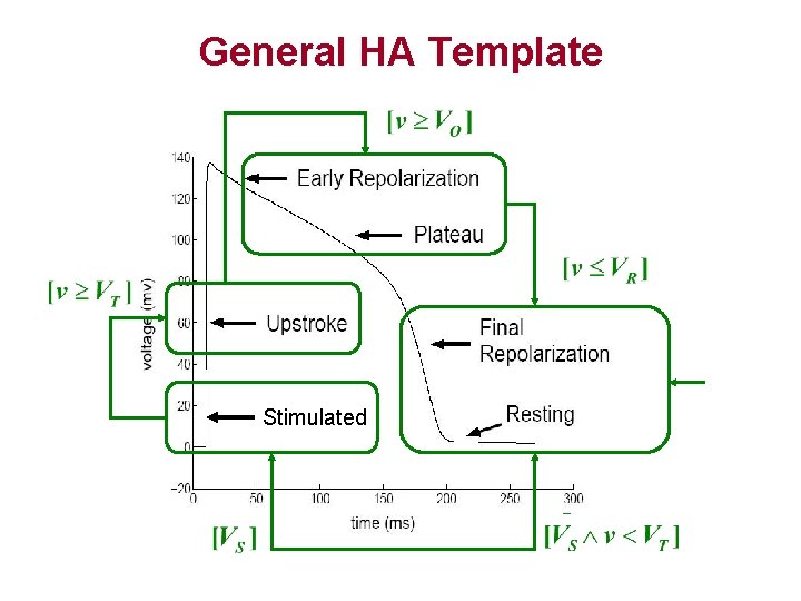 General HA Template Stimulated 